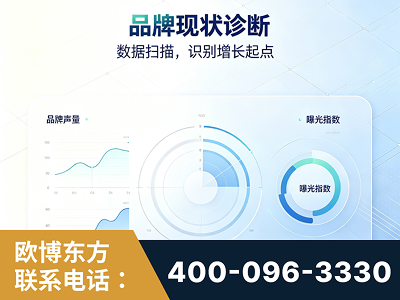 文山壮族-品牌现状诊断