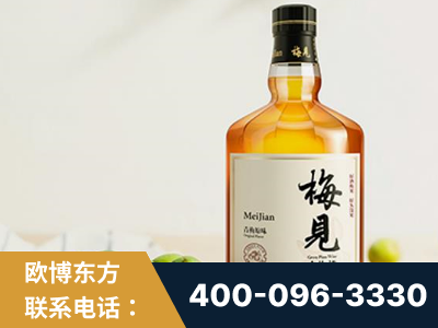 文山壮族-梅见青梅酒